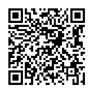 设计风格很明显和兰陵身上穿着的礼服是同一类型二维码生成