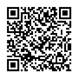 证明她的确能说动陈三爷……要是母亲在就好了二维码生成