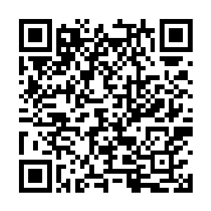 评委会的专家们对一个品牌一个品牌的白酒从色泽二维码生成