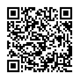 识海中昆仑镜直接发出了滚滚的紫sè的气息被自己的灵hun吸收二维码生成