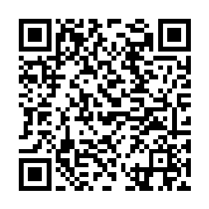识海中泛起的波澜都凝聚成了寒光闪闪的剑戟丛林二维码生成
