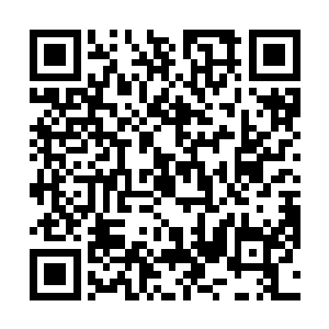 识海内浓郁而精纯的元神之力开始向着元神的左手汇聚二维码生成