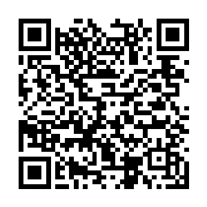 识相点就乖乖把你从拍卖场拍到的东西全部交出来二维码生成