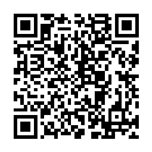 试图从宣传片中找到跟自己所学专业对口的子公司和岗位二维码生成