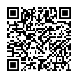 试图扶持起一个班达列夫家族在意大利的代言人二维码生成