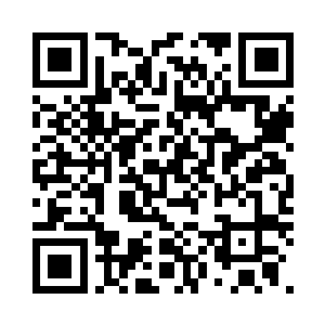 试验台上躺着一只肚子被剖开的母虫二维码生成