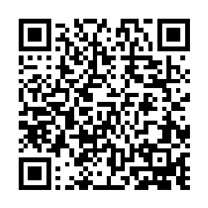 诚然苏落身边已经有两只强大的灵宠和变异两次的植物宠二维码生成