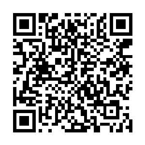 话说这个竟然比他还小几天的小胖子到底是崇拜他学习好呢二维码生成