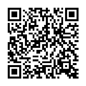 该参加华夏台和hunan卫视等各大卫视台的春节期间晚会的二维码生成