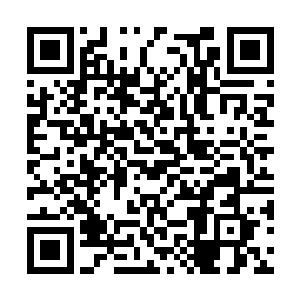 该律师打赢过几起全国范围都有影响力的大案要案二维码生成