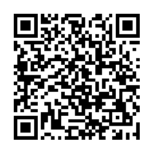 该有多大的实力才能让一个母亲有这样的勇气和自信二维码生成