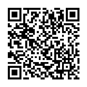 该模式下依然适用团队生存模式中的玩家互动守则a二维码生成