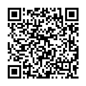 详细介绍了三样寻龙秘宝的炼制方法和所需材料二维码生成