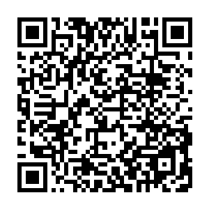 语气和神态间还透露出他会那么快做下决定都是为了自己弟弟考虑的模样二维码生成
