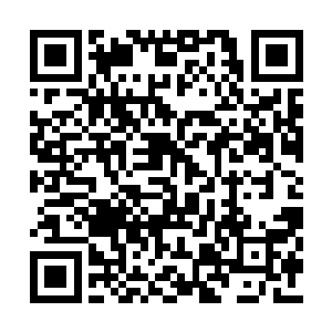 说一定要把那两个不知高低的实习记者送交法办二维码生成