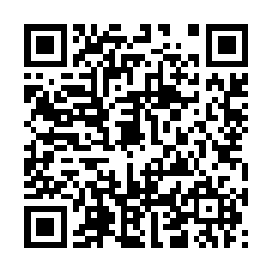 说三凤和三龙今天都会在这里选择自己未来的配偶二维码生成
