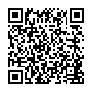 说不定他可以带着虎鲨一族走向一个更高的境界二维码生成