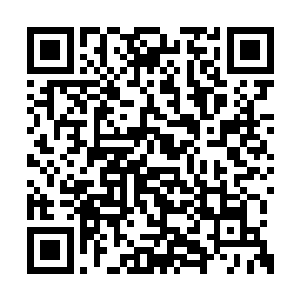 说不定你可以找到让你实力突飞猛进的宝物等等二维码生成