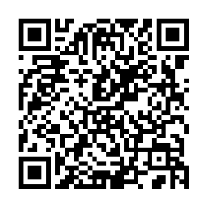 说不定南宫璟宸早就看穿了一切布置好一切在等着我们呢二维码生成