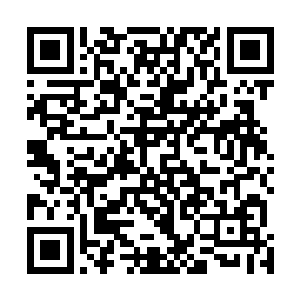 说不定可以向光辉之城的居民们揭开神圣世家本来的面目二维码生成