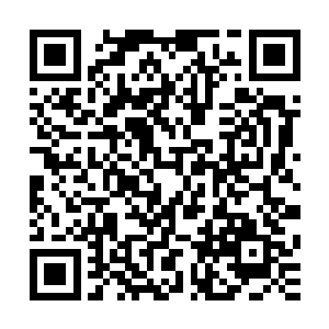 说不定岳父苏部长还会被人嘲笑下重注最后弄了个样子货回来二维码生成