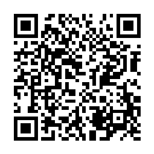 说不定彼此之间还有千丝万缕的传承和亲缘关系呢二维码生成