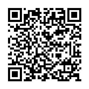 说不定许紫烟会把这些修士全部从呼啸山脉驱除二维码生成