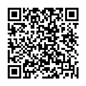 说不定还有比这七星铁线蛇更加歹毒的凶物出现的二维码生成