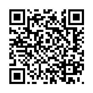 说不定还能从上游的时间之潭中脱身二维码生成