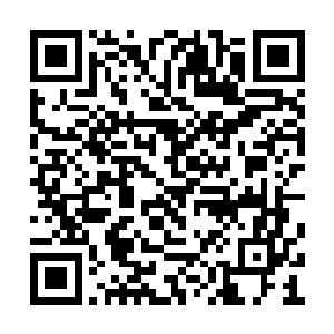 说不定还能帮你们改掉喜欢钻通风管道的毛病呢二维码生成