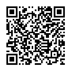 说不定还能遇到个漂亮的小美媚求助于自己饭堂上的一些事情二维码生成