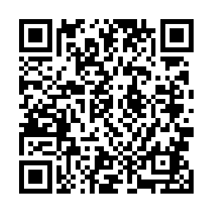 说不定这座州城的巡防戊守大权就掌握在某一位父辈手中二维码生成