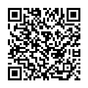 说不得追踪东山七英的几个半步王者也遭了他的毒手二维码生成