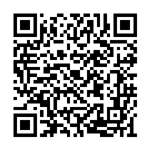 说了几句放下顺口讲了个能源行业刚发生的事情二维码生成