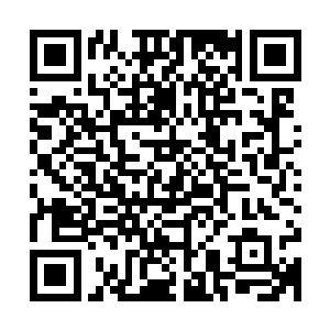 说什么也要狠狠与倪道溪统领的猎海联盟修士大军打一场硬仗的二维码生成