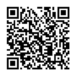 说他即便是求生不得求死不能也是不会将纸派功夫泄露出去二维码生成