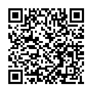 说你和闻人家白家那两位联手又坑了秦纵横一把二维码生成