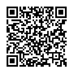 说到底娜姑娘好歹也算是指挥学院的预备役军官二维码生成