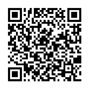 说各大洞天福地为了稳固自身对三千世界的统治地位二维码生成