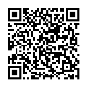 说大表哥把他房里小妾的画儿送给诸位府里的公子呢二维码生成