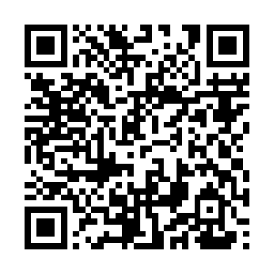 说女真族完颜部酋长乌骨迺带着儿子劾里钵造反了二维码生成