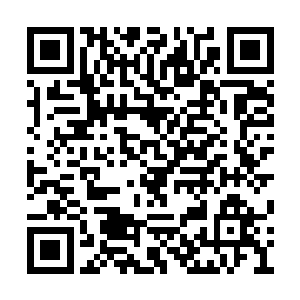 说好的与微软合作建立的全新发行系统一直没影二维码生成