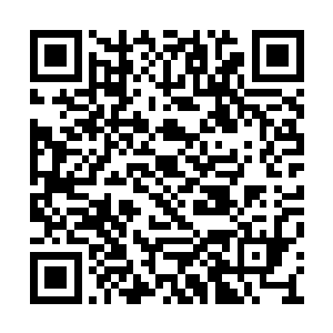 说完之后只见金鸿手中也再一次出现了一个托盘二维码生成