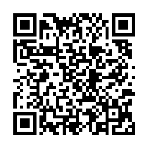 说完之后顿时只见一个绝美的小精灵出现在了众人的眼前二维码生成