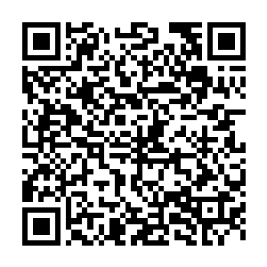 说完就用粗筷子从里面捞出一块带着厚厚一层筋肉的骨头放在大陶碗里二维码生成