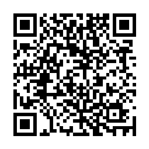 说完抬手召来了青霜和前些日子刚刚回来的阿谨道二维码生成