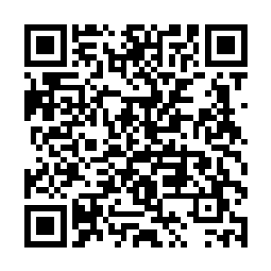 说实话他这些天马不停蹄拜访了很多有名且在野之人二维码生成