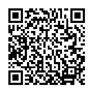 说希望汪大锤能找到自己他自己满意他周围人也满意的女朋友二维码生成