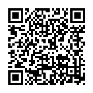 说明只有打通四条主脉巅峰的武者才能够抗衡啊二维码生成