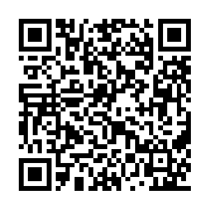 说明叶狂风的魂魄如今正在这只怪物体内藏匿着二维码生成